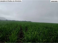 Imagem 9