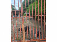 Edificações - Terreno c/ 2.541,26 m² - Várzea Grande/MT, localizado em Várzea Grande - MT, bairro Centro
