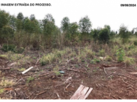 Parte ideal de 50% sobre sítio c/ 65,90 ha - Fênix/PR, localizado em Fênix - PR