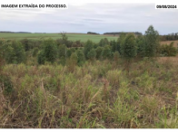 Parte ideal de 50% sobre sítio c/ 65,90 ha - Fênix/PR, localizado em Fênix - PR