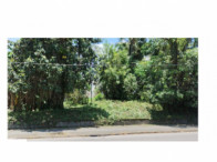 Foto de Terreno Urbano c/ 21.658,87m² - Timbó/SC