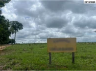 Imagem 4