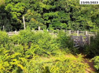 I_27726_346077_G.webp