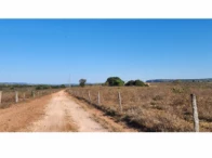 Grande Fazenda c/ 641,10ha - Dom Aquino/MT, localizado em Dom Aquino - MT