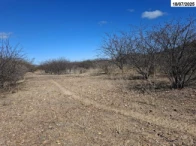 Foto de Sítio c/ 61,15 hectares - Casa Nova/BA