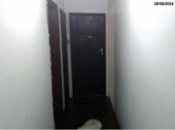 Imagem 7