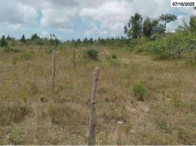 Miniatura 4 de Imóvel c/  0,48 hectares - Itanagra/BA