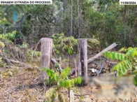 Miniatura 13 de Fazenda Bataguassu II - 345,23 ha - Nova Ubiratã/MT