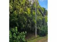 Imagem do imóvel Terreno c/ 2.030m² - Embu Guaçu/SP