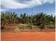 Imagem do imóvel Terreno c/ 464,25m² - Bandeirantes/MS