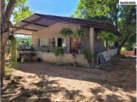 Miniatura 10 de Grande chácara c/ 5,26 ha - 03 Casas - Barracão - Cacoal/RO