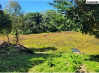 Miniatura 17 de Grande chácara c/ 5,26 ha - 03 Casas - Barracão - Cacoal/RO