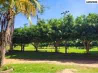 Miniatura 18 de Grande chácara c/ 5,26 ha - 03 Casas - Barracão - Cacoal/RO