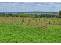 Foto de Sítio c/ 37,47,04 ha - Casa - São Francisco de Sales/MG
