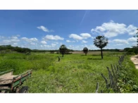 Miniatura 2 de Sítio c/ 61,4 hectares - Quixadá/CE