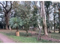 Miniatura 25 de Prédio - 2.626,97m² - Terreno - 20.000m²- B.Cristo Rei