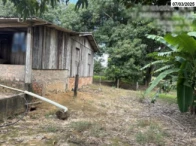 Miniatura 3 de 50% do Sítio c/ área total de 27,924 hectares - Tabaporã/MT