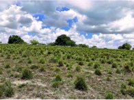 Miniatura 2 de Sítio c/ área de 14,2 hectares - Nova Cruz/RN