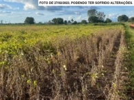 Imagem do imóvel Parte ideal de 6,05 hectares - São Miguel do Guaporé/RO