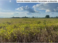 Miniatura 12 de Parte ideal de 6,05 hectares - São Miguel do Guaporé/RO