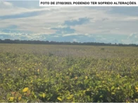 Miniatura 13 de Parte ideal de 6,05 hectares - São Miguel do Guaporé/RO