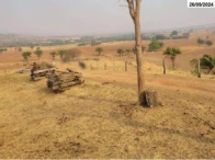 Miniatura 1 de Fazenda com 149,48 hectares - Santa Fé de Goiás/GO