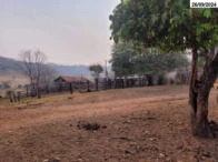 Miniatura 10 de Fazenda com 149,48 hectares - Santa Fé de Goiás/GO