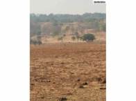 Miniatura 19 de Fazenda com 149,48 hectares - Santa Fé de Goiás/GO