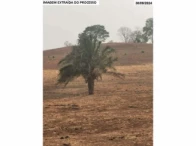 Miniatura 4 de Fazenda com 149,48 hectares - Santa Fé de Goiás/GO