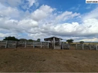 Miniatura 21 de Fazenda c/ 340,18 hectares - Bom Jardim de Goiás/GO