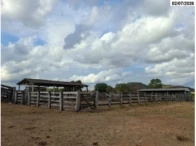 Miniatura 22 de Fazenda c/ 340,18 hectares - Bom Jardim de Goiás/GO