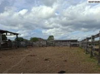 Miniatura 24 de Fazenda c/ 340,18 hectares - Bom Jardim de Goiás/GO
