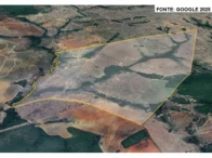Miniatura 6 de Fazenda c/ 340,18 hectares - Bom Jardim de Goiás/GO