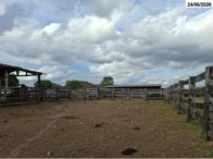 Miniatura 33 de Fazenda c/ 340,18 hectares - Bom Jardim de Goiás/GO