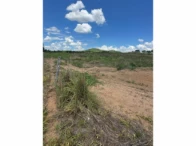 Miniatura 38 de Fazenda c/ 340,18 hectares - Bom Jardim de Goiás/GO