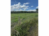 Miniatura 39 de Fazenda c/ 340,18 hectares - Bom Jardim de Goiás/GO