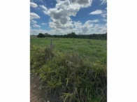 Miniatura 41 de Fazenda c/ 340,18 hectares - Bom Jardim de Goiás/GO