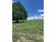Miniatura 42 de Fazenda c/ 340,18 hectares - Bom Jardim de Goiás/GO
