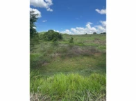 Miniatura 45 de Fazenda c/ 340,18 hectares - Bom Jardim de Goiás/GO