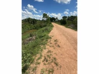 Miniatura 50 de Fazenda c/ 340,18 hectares - Bom Jardim de Goiás/GO
