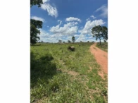 Miniatura 52 de Fazenda c/ 340,18 hectares - Bom Jardim de Goiás/GO