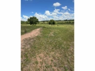 Miniatura 55 de Fazenda c/ 340,18 hectares - Bom Jardim de Goiás/GO