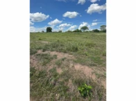 Miniatura 57 de Fazenda c/ 340,18 hectares - Bom Jardim de Goiás/GO