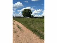 Miniatura 60 de Fazenda c/ 340,18 hectares - Bom Jardim de Goiás/GO