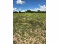Miniatura 61 de Fazenda c/ 340,18 hectares - Bom Jardim de Goiás/GO