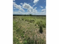 Miniatura 63 de Fazenda c/ 340,18 hectares - Bom Jardim de Goiás/GO