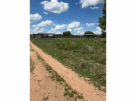 Miniatura 64 de Fazenda c/ 340,18 hectares - Bom Jardim de Goiás/GO