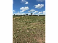 Miniatura 67 de Fazenda c/ 340,18 hectares - Bom Jardim de Goiás/GO