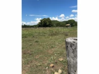 Miniatura 69 de Fazenda c/ 340,18 hectares - Bom Jardim de Goiás/GO