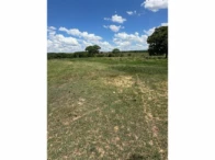 Miniatura 74 de Fazenda c/ 340,18 hectares - Bom Jardim de Goiás/GO
